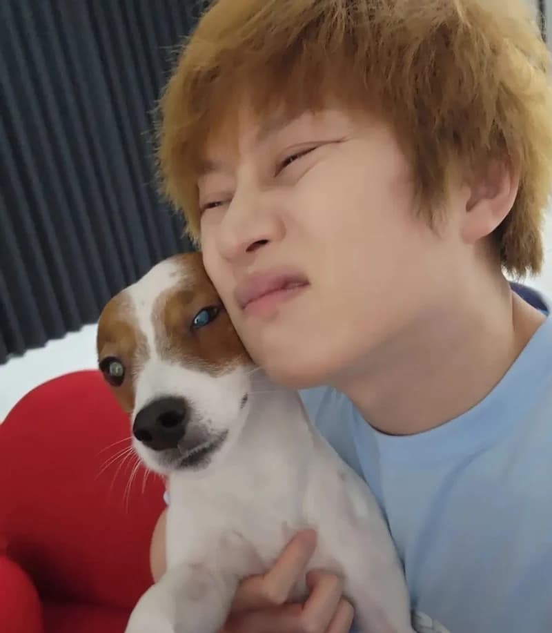 Image Source Instagram|kimheenim