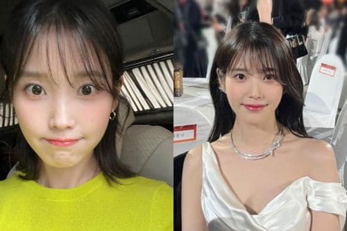 【韓娛熱議】韓網對IU疑抄襲海外作品真實反應：真是沒事可做啊、讓人無語
