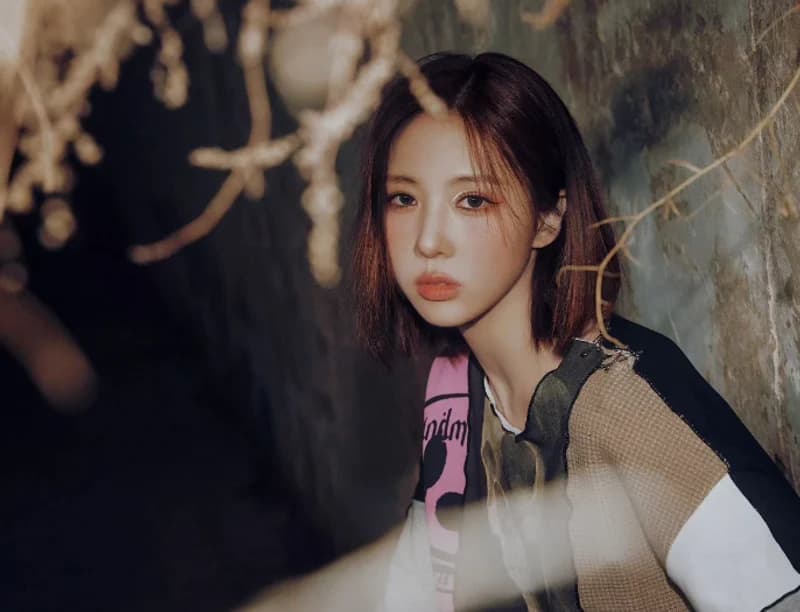 source_IG|hf_dreamcatcher