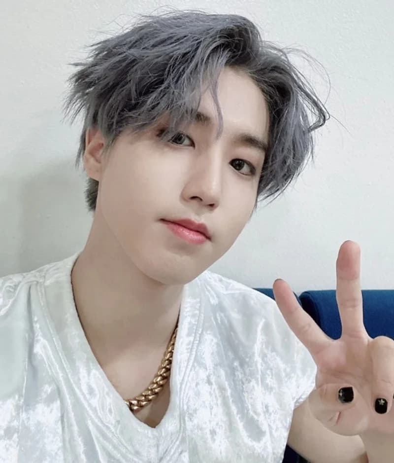 image source_instagram|realstraykids