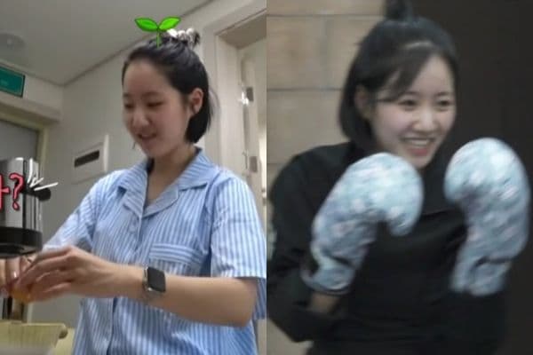 登大人！《我獨》陳智熙獨居小屋首公開！以色列搏擊技巧讓全員都感嘆！