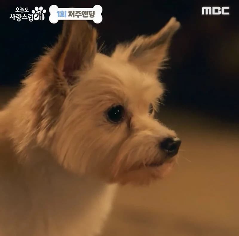 Image Source_Instagram |MBCdrama