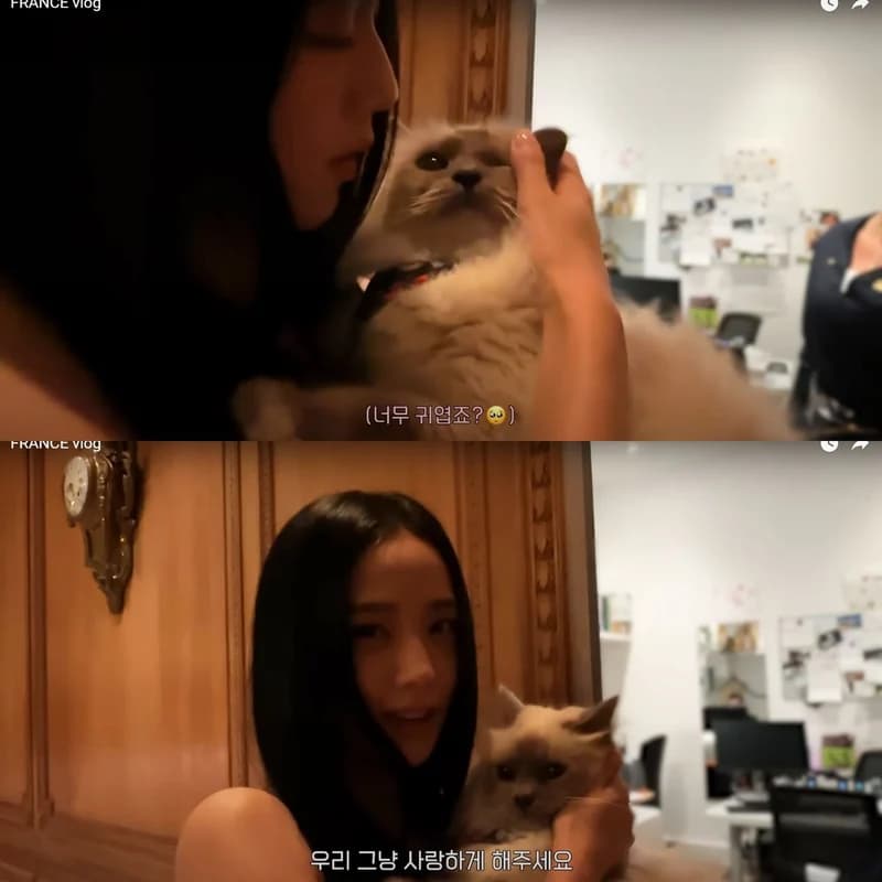 Image Source l YT 행복지수103%