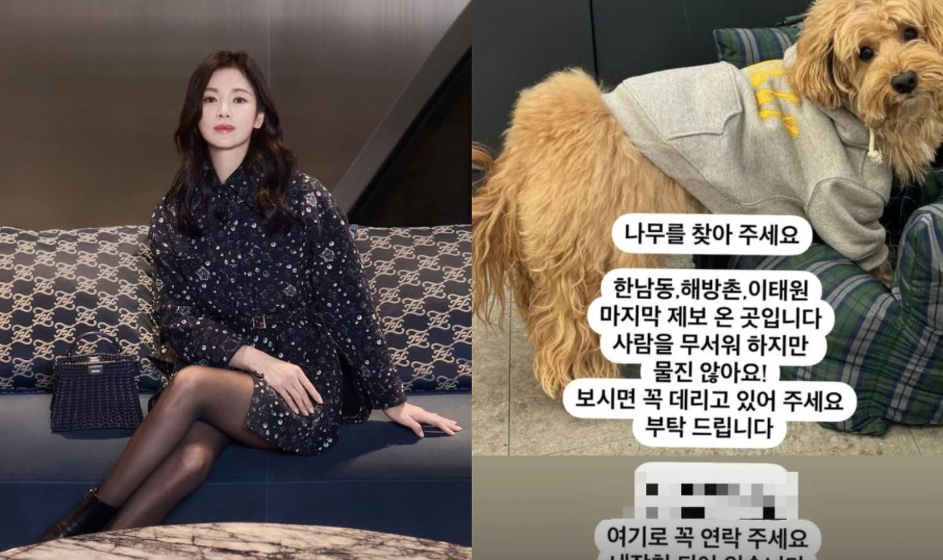 宋慧喬愛犬失蹤嚇的直po文！單身生活令人充滿不捨？