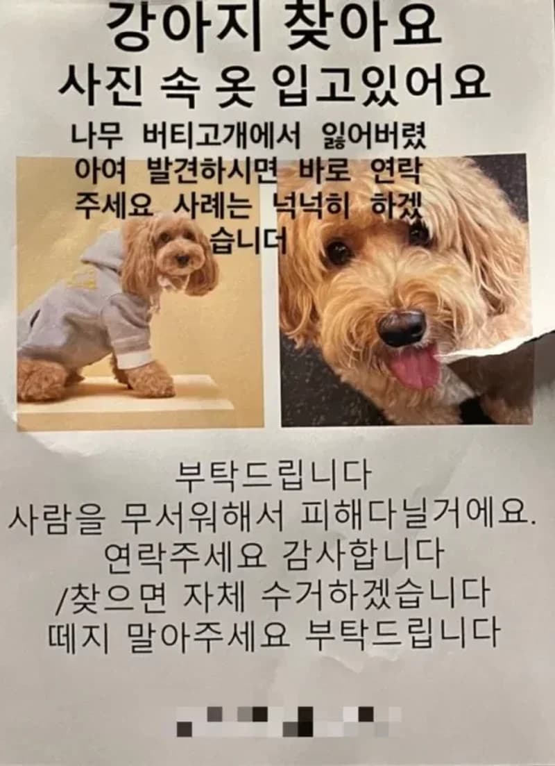 Image Source l&nbsp;kyo1122 IG