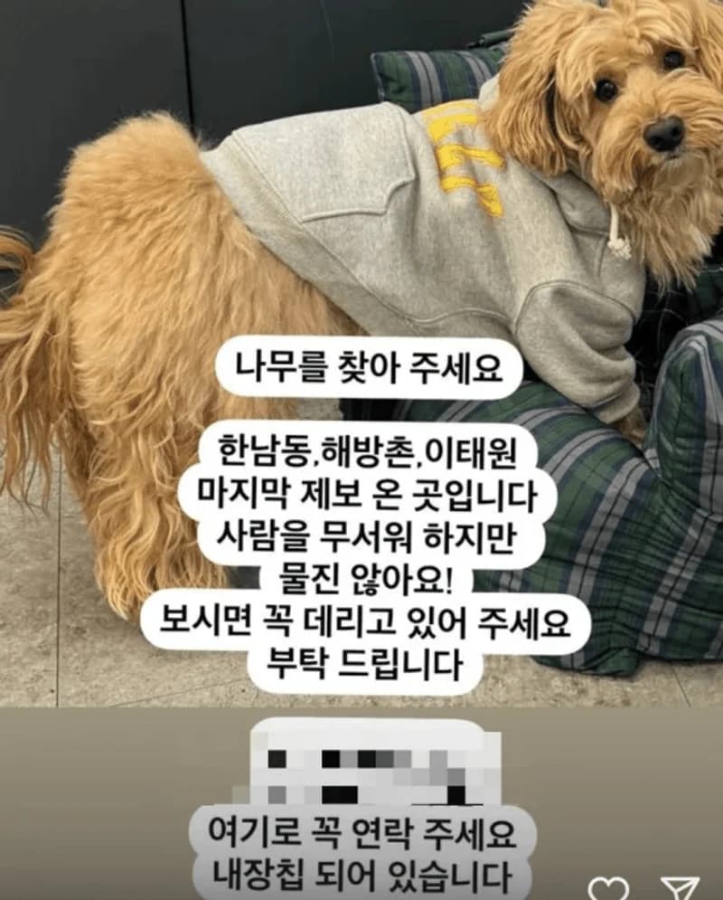Image Source l kyo1122 IG