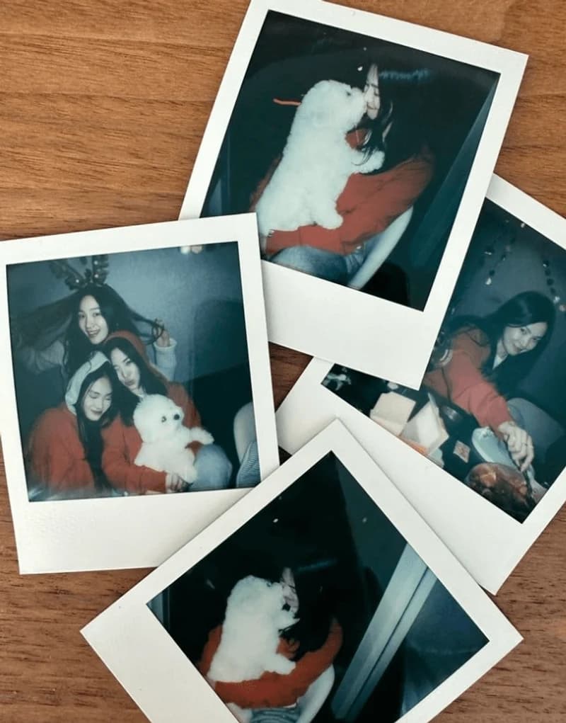 Image Source Instagram|kyo1122