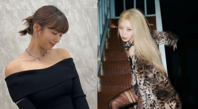 Apink金南珠上節目宣傳新專輯！普美傳來應援簡訊竟是「這個」？！網笑：果然是普美XD