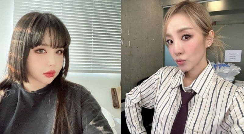 Dara為2NE1時期錯過很多男性追求而惋惜！主持人承諾：會為Dara朴春安排驚喜相親