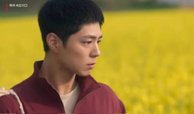 圖片來源：Netflix《苦盡柑來遇見你》