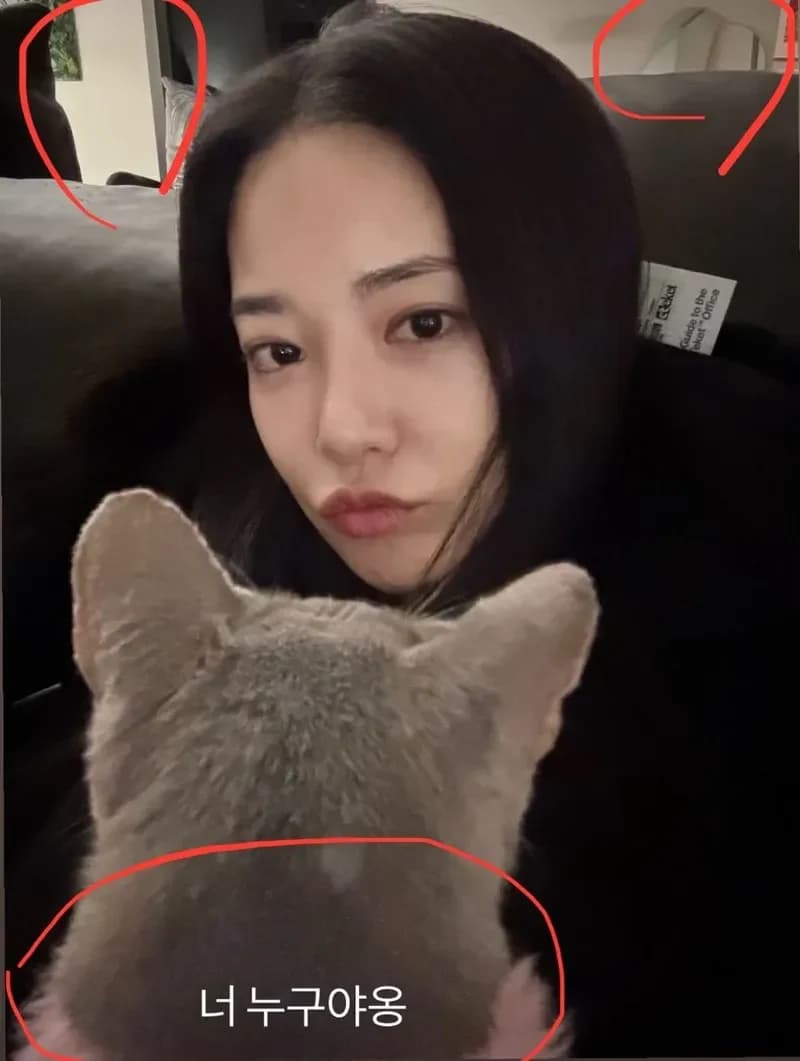 圖片來源：網絡圖片