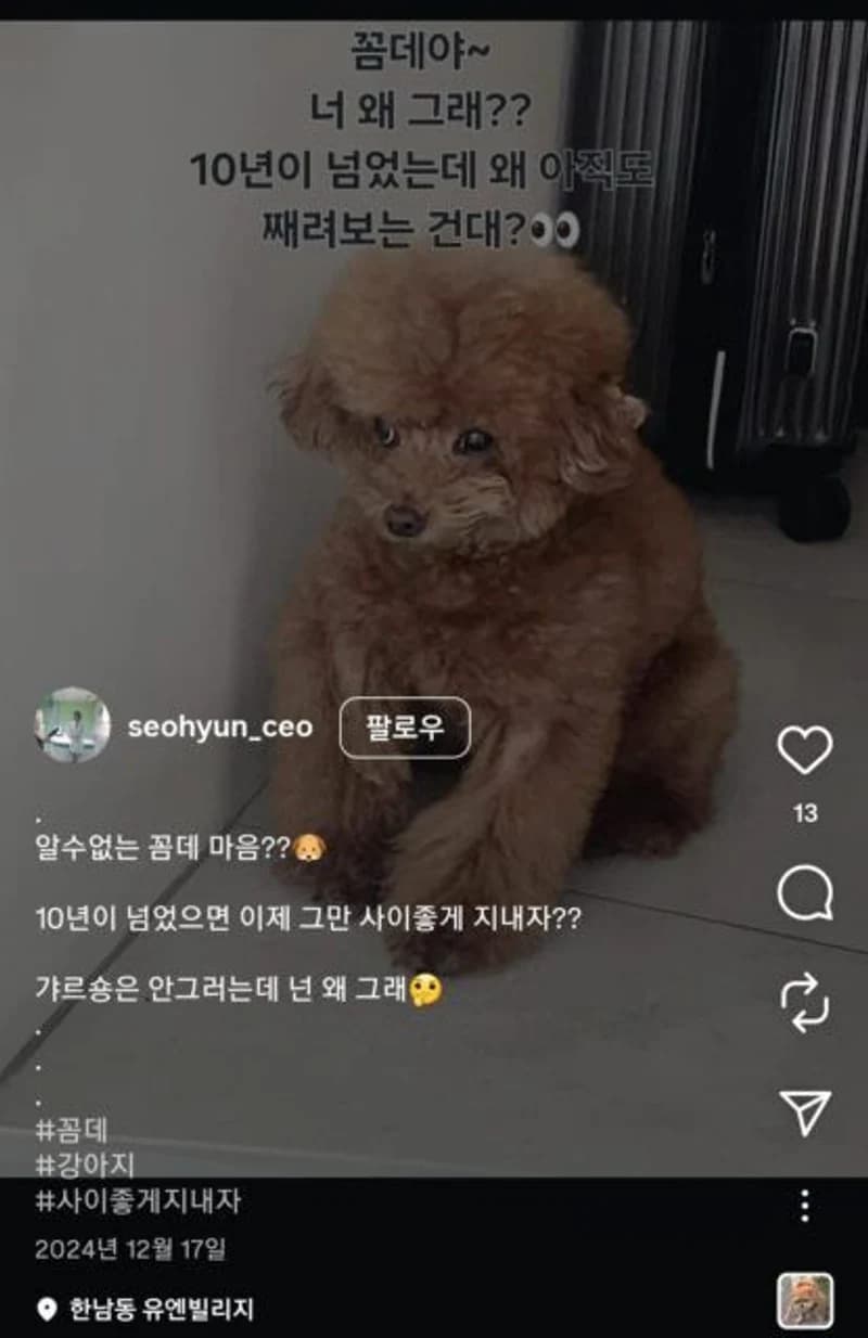 圖片來源：IG@seohyun_ceo