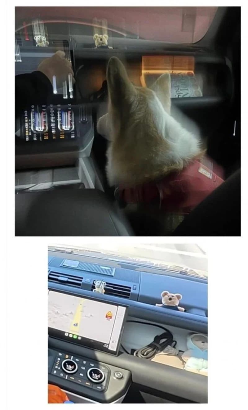 圖片來源：網絡圖片