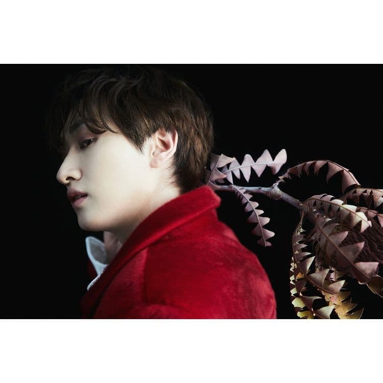 Image Source_Instagram | superjunior