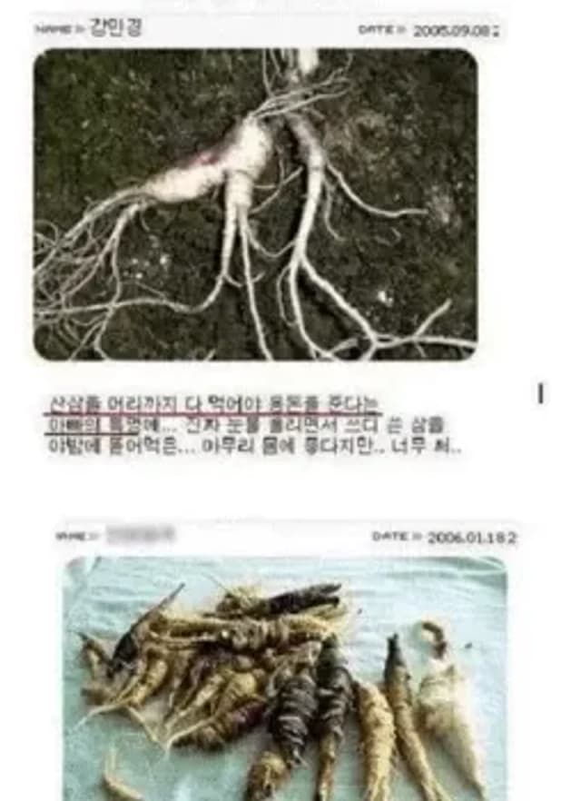 Image Source_ instiz