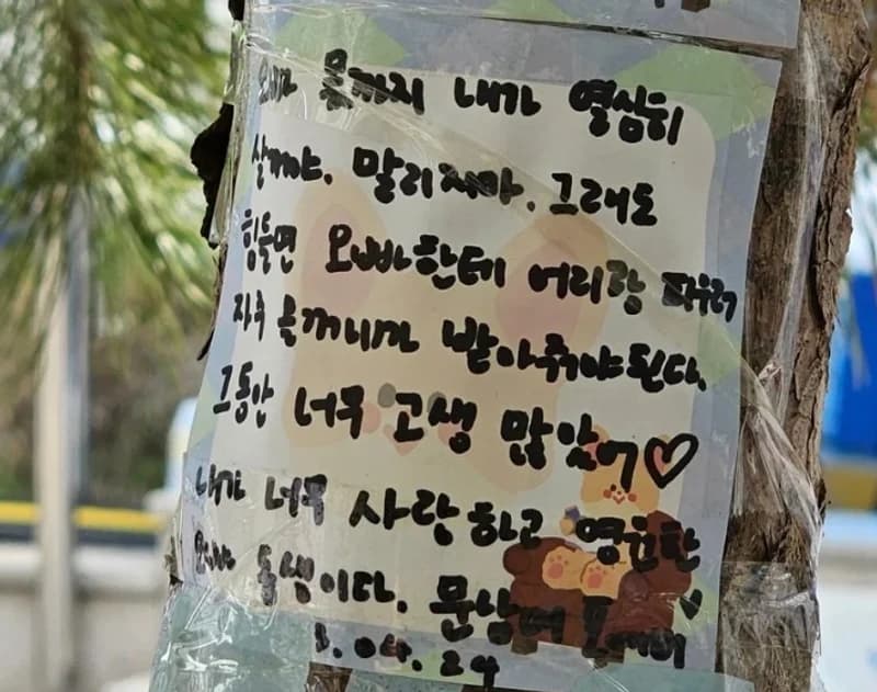 Image Source|온라인 커뮤니티