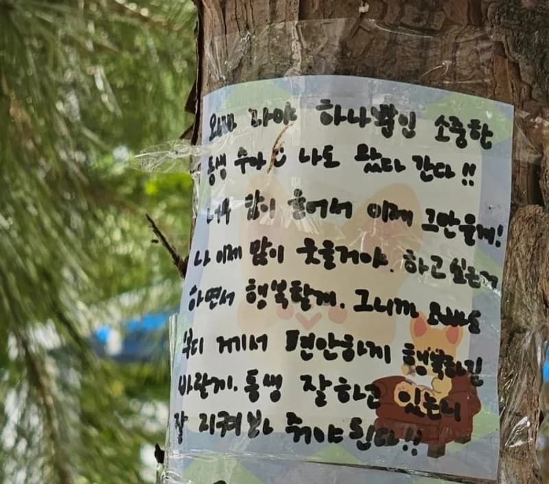 Image Source|온라인 커뮤니티