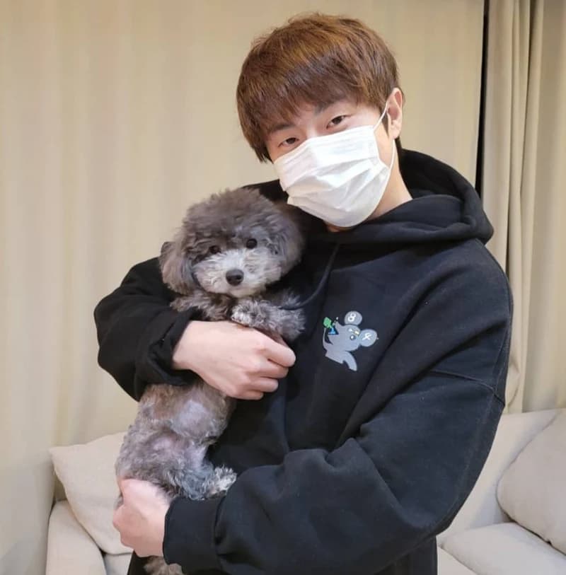 image source|旗安84IG