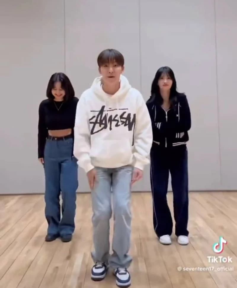 Image Source TikTok|seventeen17_official