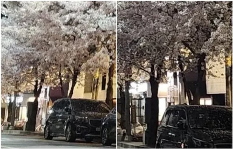 Image Source l 온라인 커뮤니티