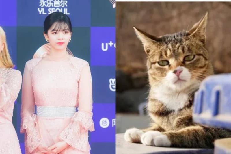 Image Source|topstarnews提供