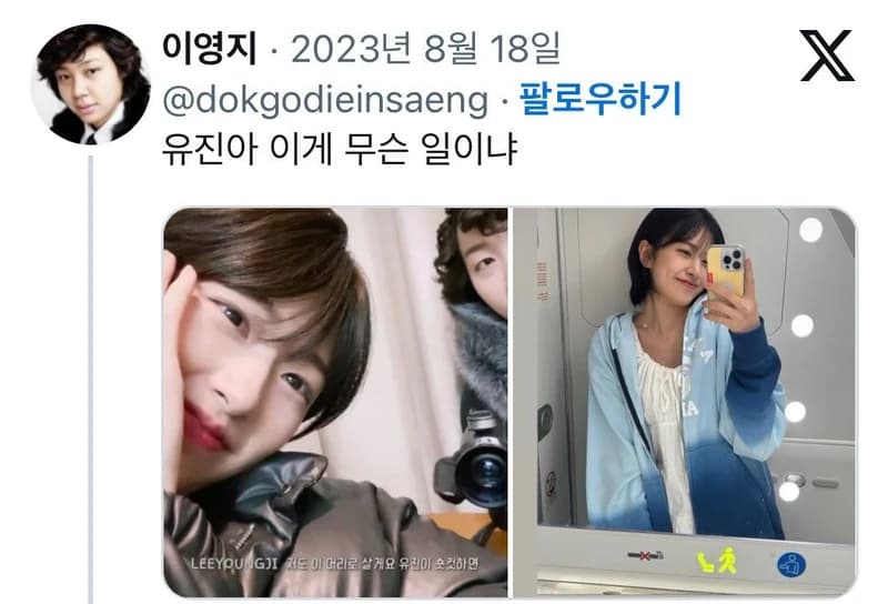 Image Source_twitter|dokgodieinsaeng 