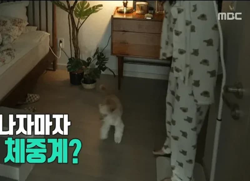 Image Source |MBC