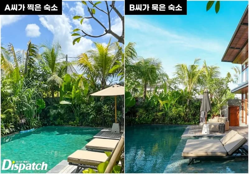 Image Source_Dipatch