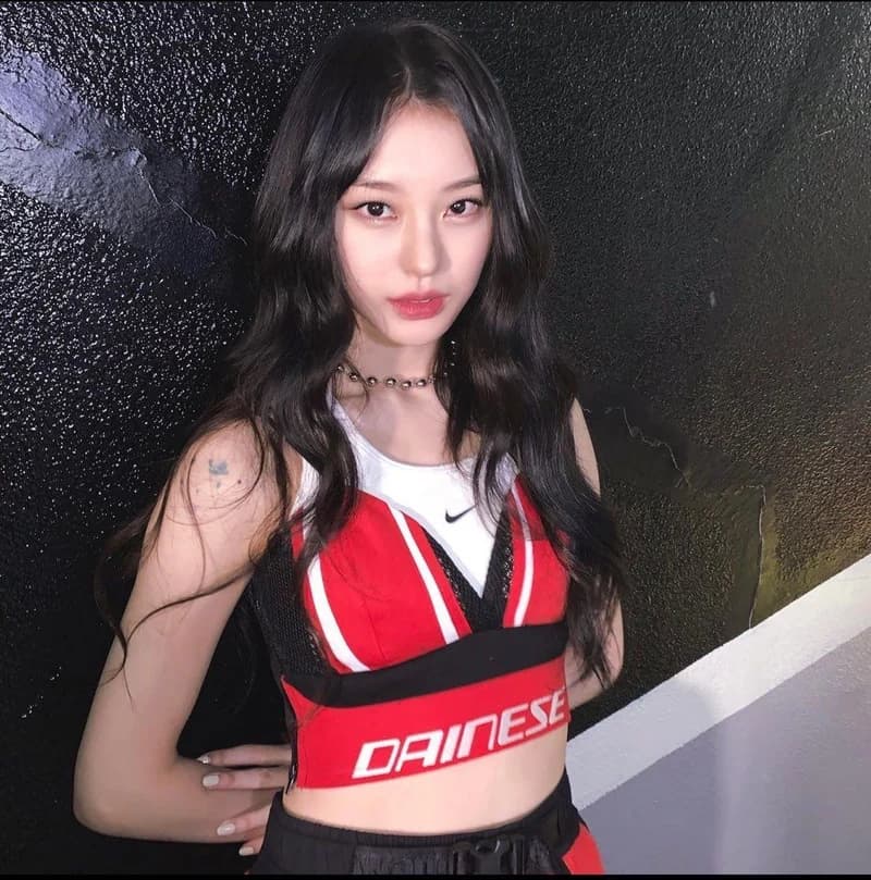mage Source l 노제 IG