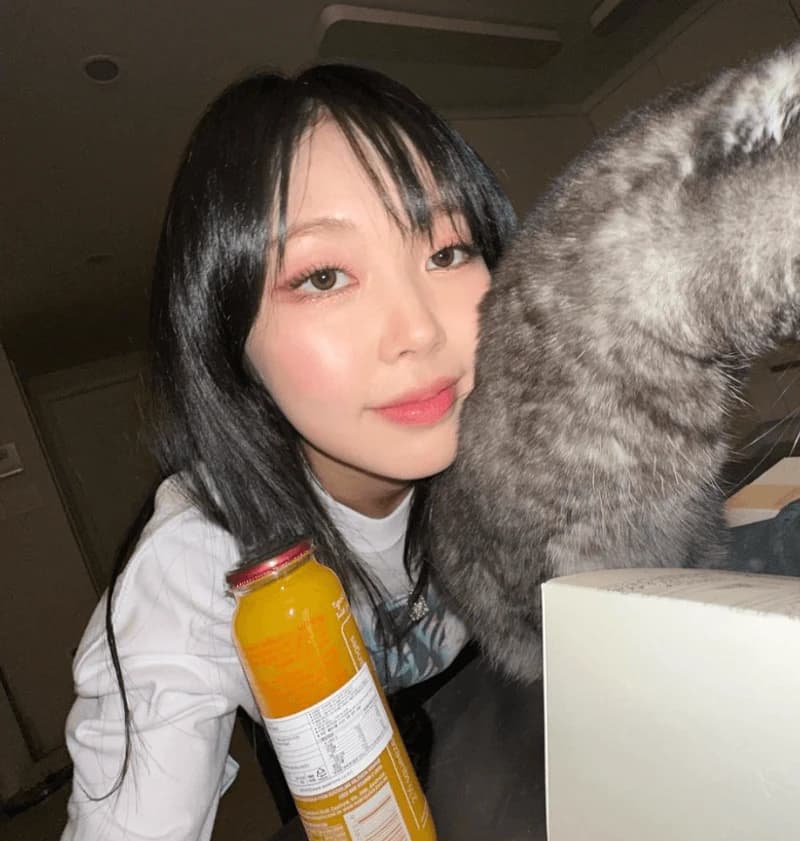Image Source_Instagram | meenoie