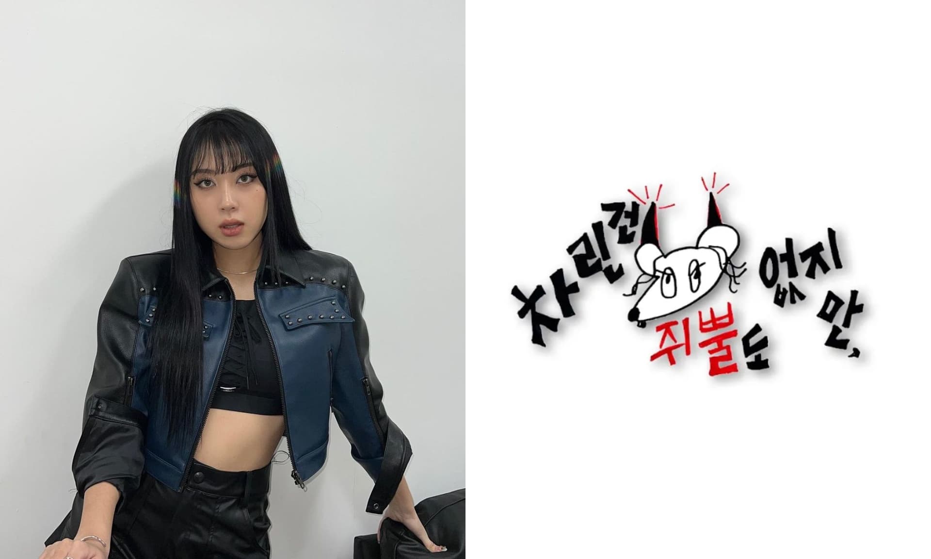 李泳知宣布《雖沒菜》強勢回歸!時隔一年製作第三季網卻憂:還有什麼看頭?