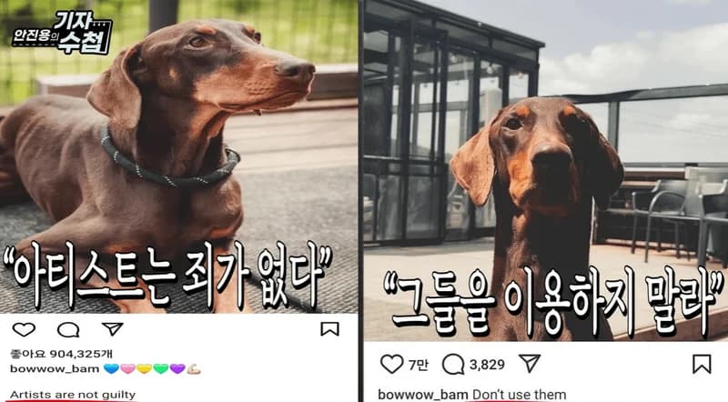 Image Source:instagram | bowwow_bam