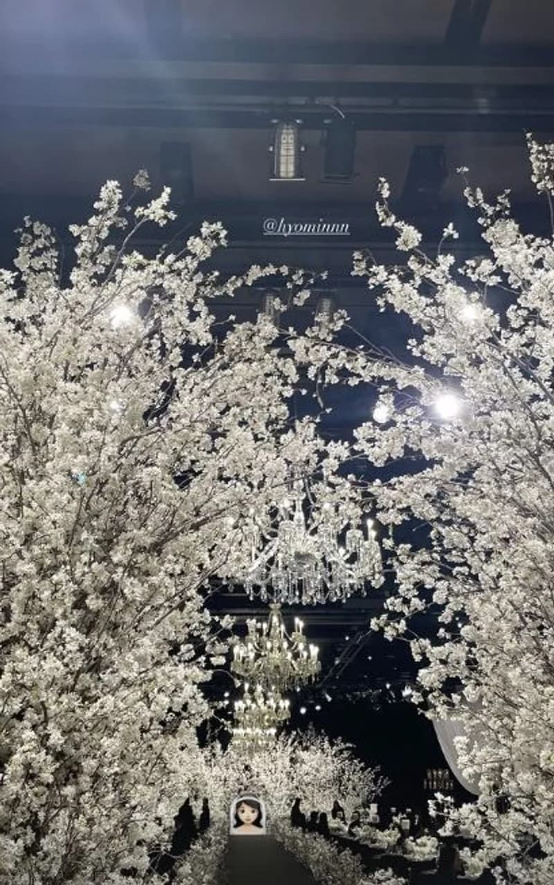 圖片來源:IG@qtfreet