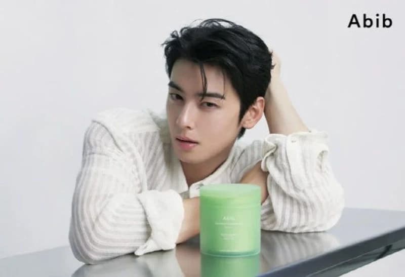 圖片來源:Abib