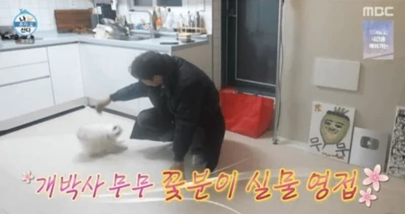圖片來源:MBC《我獨自生活》