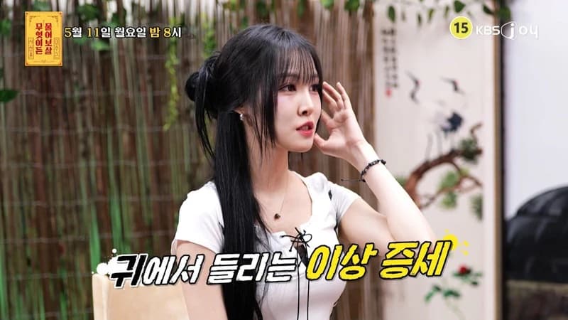 圖片來源:KBS Joy
