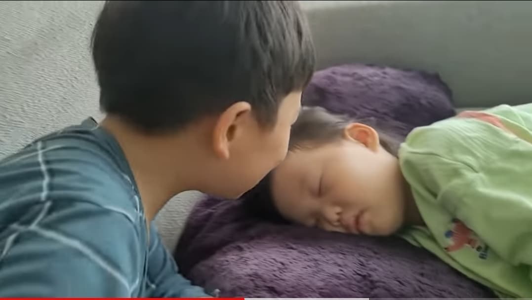 youtube | 도장TV