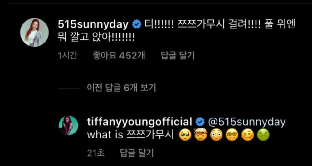 Image Source_Instagram | tiffanyyoungofficial
