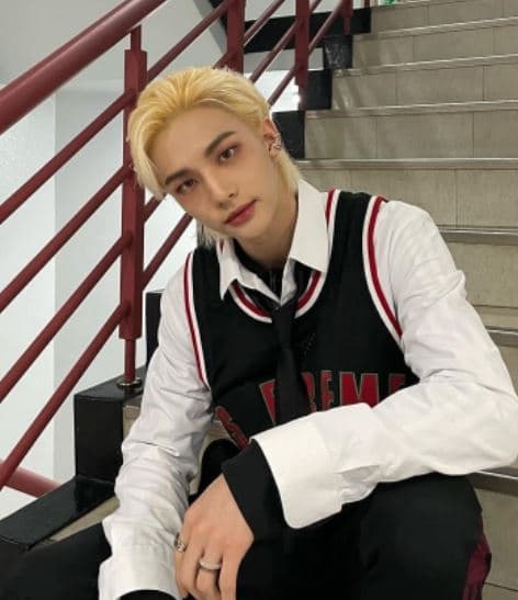 Image Source_Instagramㅣrealstraykids