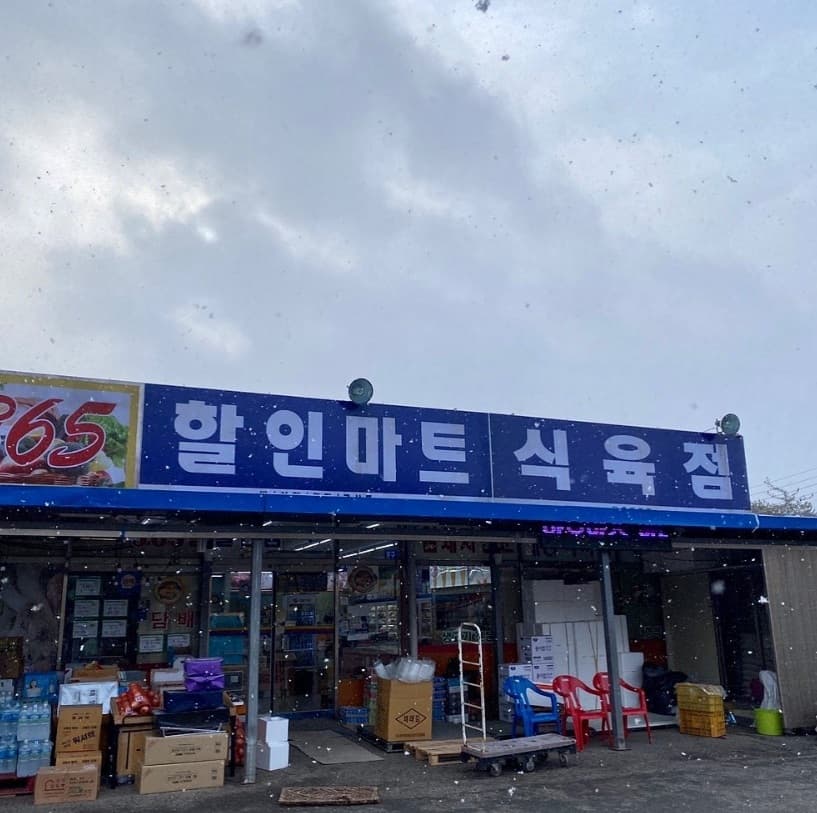 Image Source_Instagram |zoinsung_official
