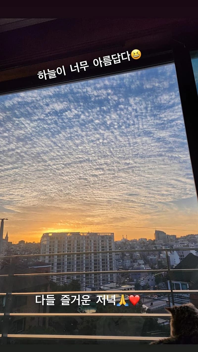 Image source_ Instagram | xodambi