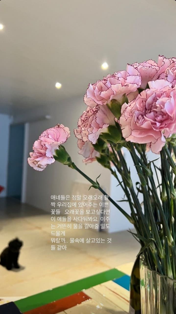 Image Source_Instagram|rovvxhyo