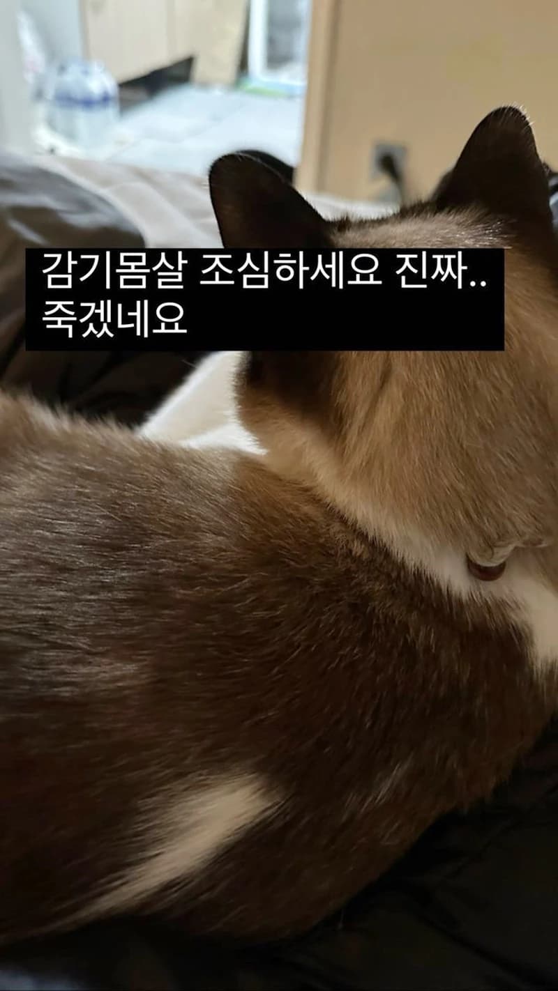 Image source_ Instagram | youngji_02